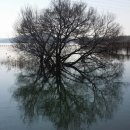 수변2공원 이미지