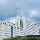 잠실준25시동물병원 | 21살 양안 망막박리 공막돌륭술 1년 경과 후기