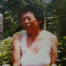 일신탕 이미지