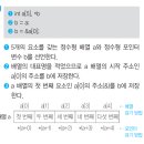 정보처리기사 필기 - 프로그래밍 언어 활용 | 2026 정보처리기사 필기 대비, 프로그래밍 언어 활용 - 4