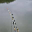 고담낚시터 이미지