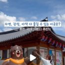 성당길55 이미지