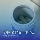 장바탕 | 📌 장까지 살아가는 메디타민 심리스 프로바이오틱스 후기