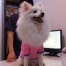 일마레 동물 메디컬 센터 이미지