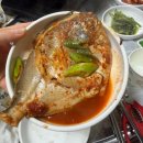 광주 신안동 맛집 해뜨는집, 세꼬시 병어조림 노포 내돈내산 후기