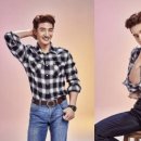 도그컴퍼니 이미지