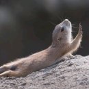 은혜마트 이미지