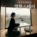 모래뜰펜션 2호점 | 제주도 서쪽 숙소 추천! 제주감성펜션 멀왓스테이 멀2호 투숙기 (취식 가능/통창 뷰)