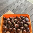 황토펜션 | 논산훈련소 수료식 펜션 황토사랑펜션 대실 솔직 후기 논산훈련소 면회 잡기 좋은 펜션