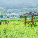 방하농장 이미지