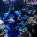 아쿠아플라넷 여수 이미지