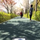 양재천로 이미지