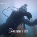 바라던바다 이미지