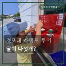 명승전기 | 강릉 경포대 국가유산방문코스 도장 찍고온 후기