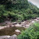 새밭야영장 이미지