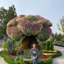 까페월랑(Cafe 월랑) | 강릉 중앙시장 맛집과 카페 월화거리 산책 후기 + 주차정보