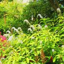 향원목장 이미지