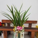 밤꽃마을뜨란채 공인중개사사무소 이미지