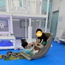 카페정하다 | 대구 무인키즈카페 대관후기 유치원 어린이집 친구들과 단독대관 후기