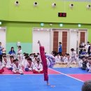 가양태권도장 이미지