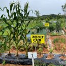 두배농장 이미지