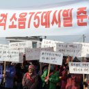 중간상사리 티스토리