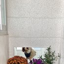 만우당