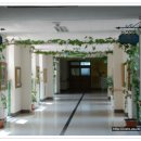 율원초등학교 이미지