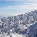 한라산 입산시간 30~2시간 단축한다 이미지