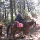 창산이 Daum카페