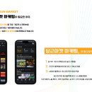 도진컴퍼니 - 하남시 | 도진컴퍼니