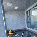 진사농장 이미지