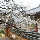 삼보서점 이미지