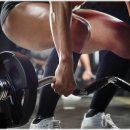 굿바디핏 이미지