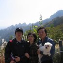 불바라기팬션 이미지