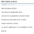 피아노(야) 이미지