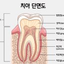 양곡동물병원 네이버블로그