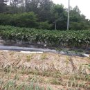 감불농장 이미지