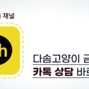 다솜고양이메디컬센터 금정점 이미지