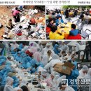 자연과 생활 (2016/05월/2째주) 이미지