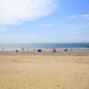 바다향기애 이미지