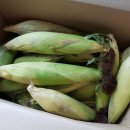 옥수농산 이미지