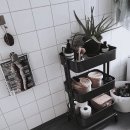 여름식물 인테리어 이미지