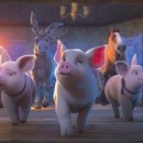 안시농장 이미지