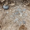 청송청과 이미지