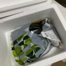진미찬 | 선우푸드 명이나물장아찌 프레존몰에서 합리적인 가격에 Get!