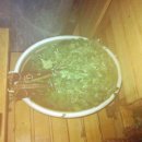 대화사우나 이미지