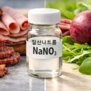 가공육과 비트 속 질산염 이미지