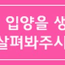 동인종합동물병원 이미지