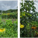 대서환경(주) 이미지